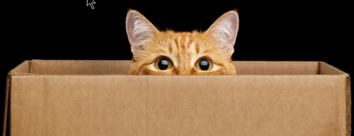 Box-without-whisker chart
